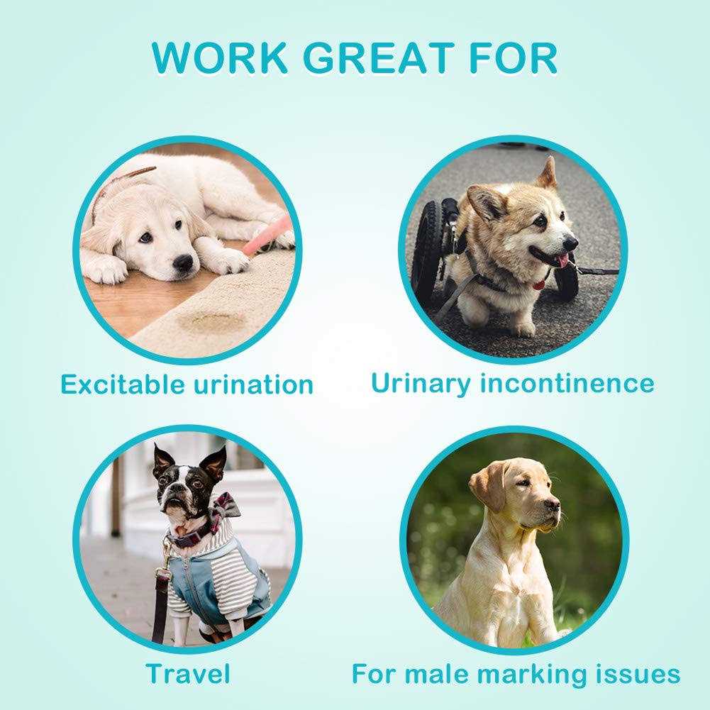 Absorbent Male Dog Wraps Belly Bands Q80567