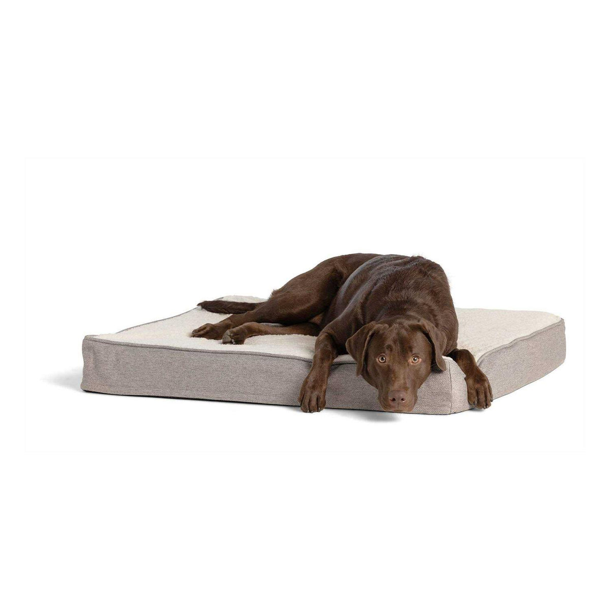 Orthopedic Dog Bed P974539