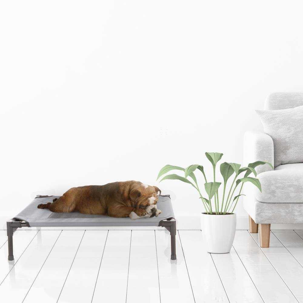 Cot-Style Elevated Pet Bed L75429