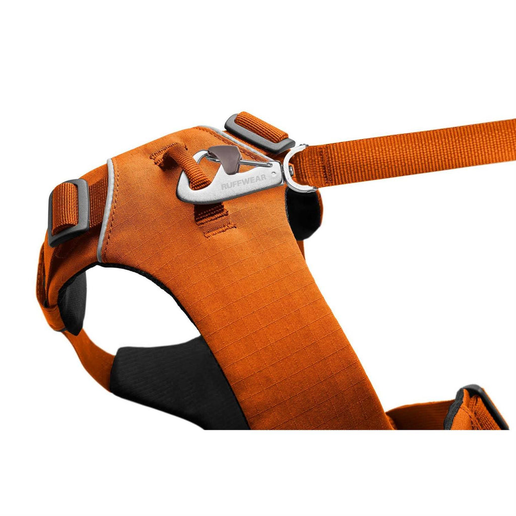 Harness A343381