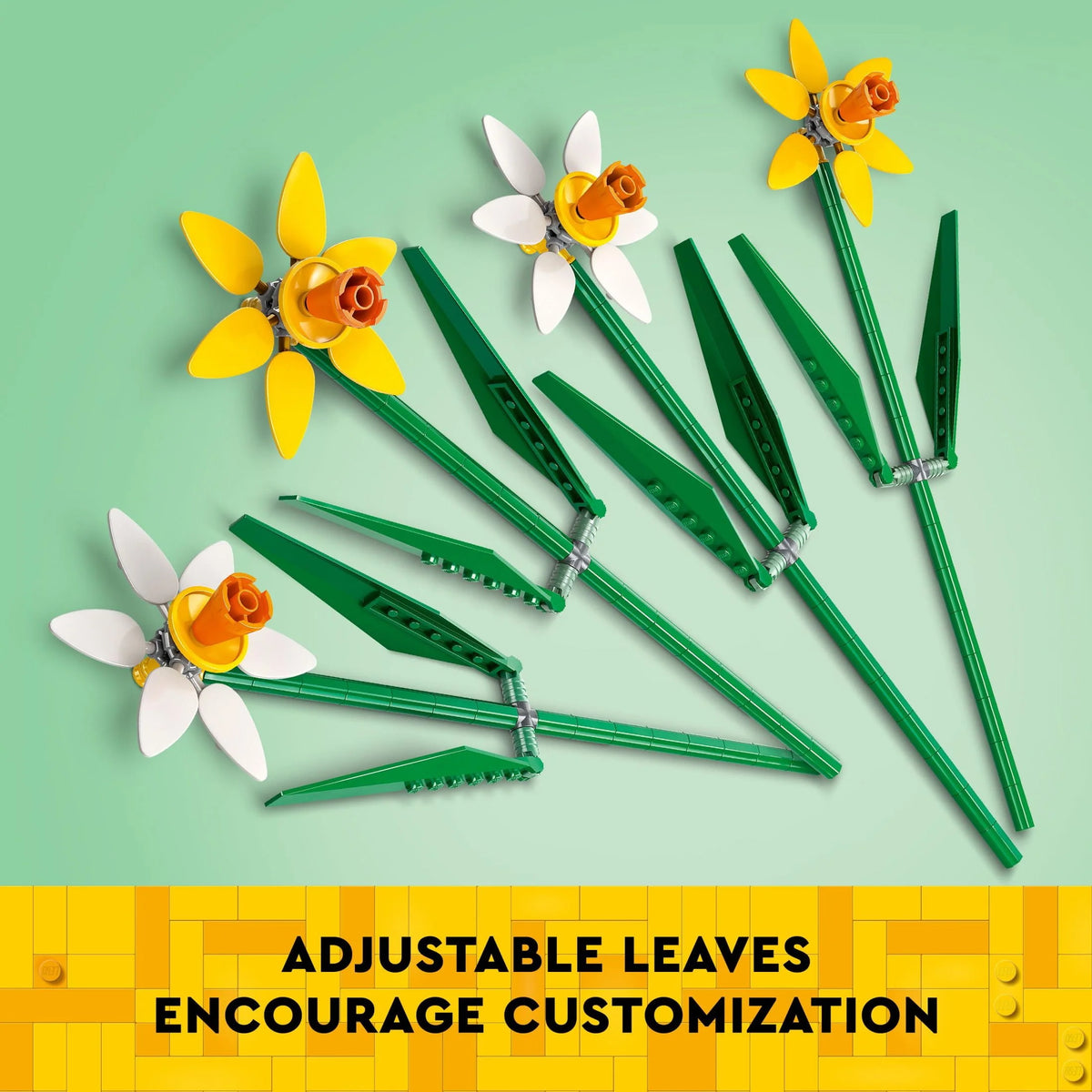 Yellow and White Daffodils C446955