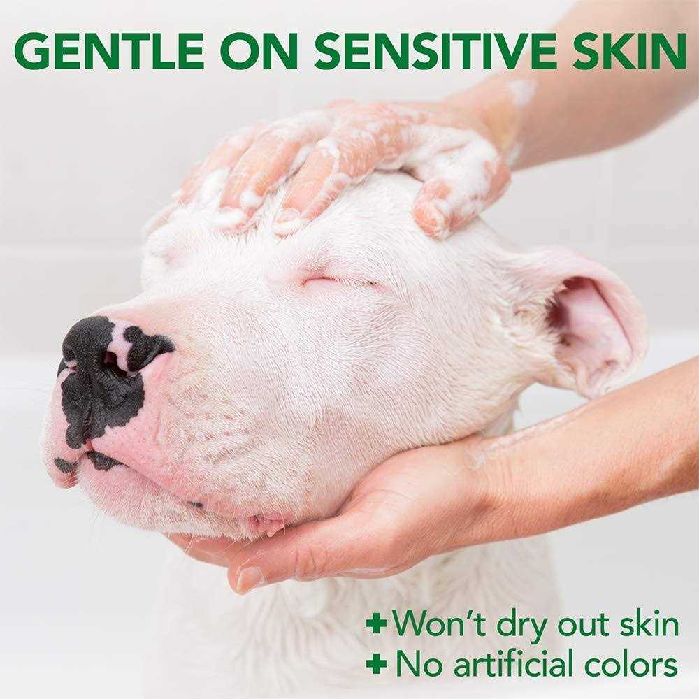 Allergy Itch Relief Shampoo P6744