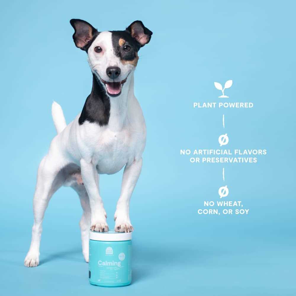 Calming Chews Dog Supplement N258353