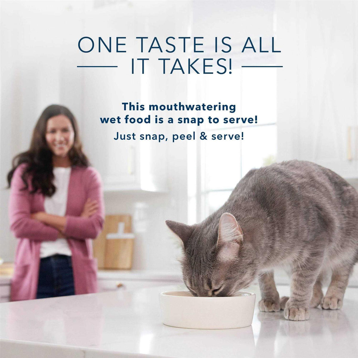 Wet Cat Food M643