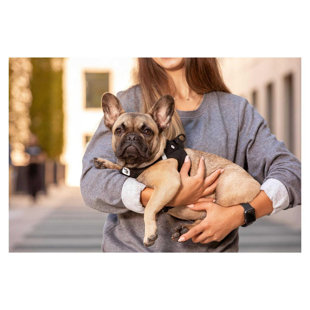 Air-Mesh Dog Harness Y48325