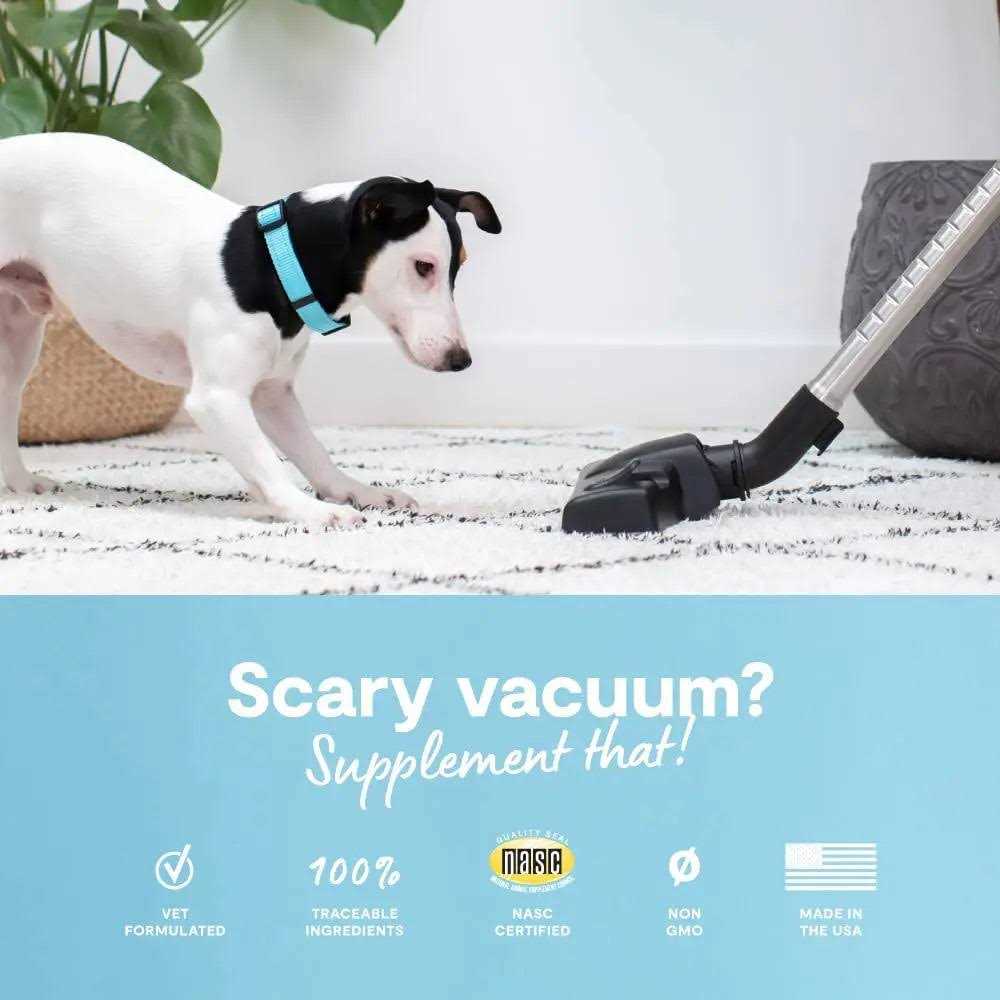 Calming Chews Dog Supplement N258353
