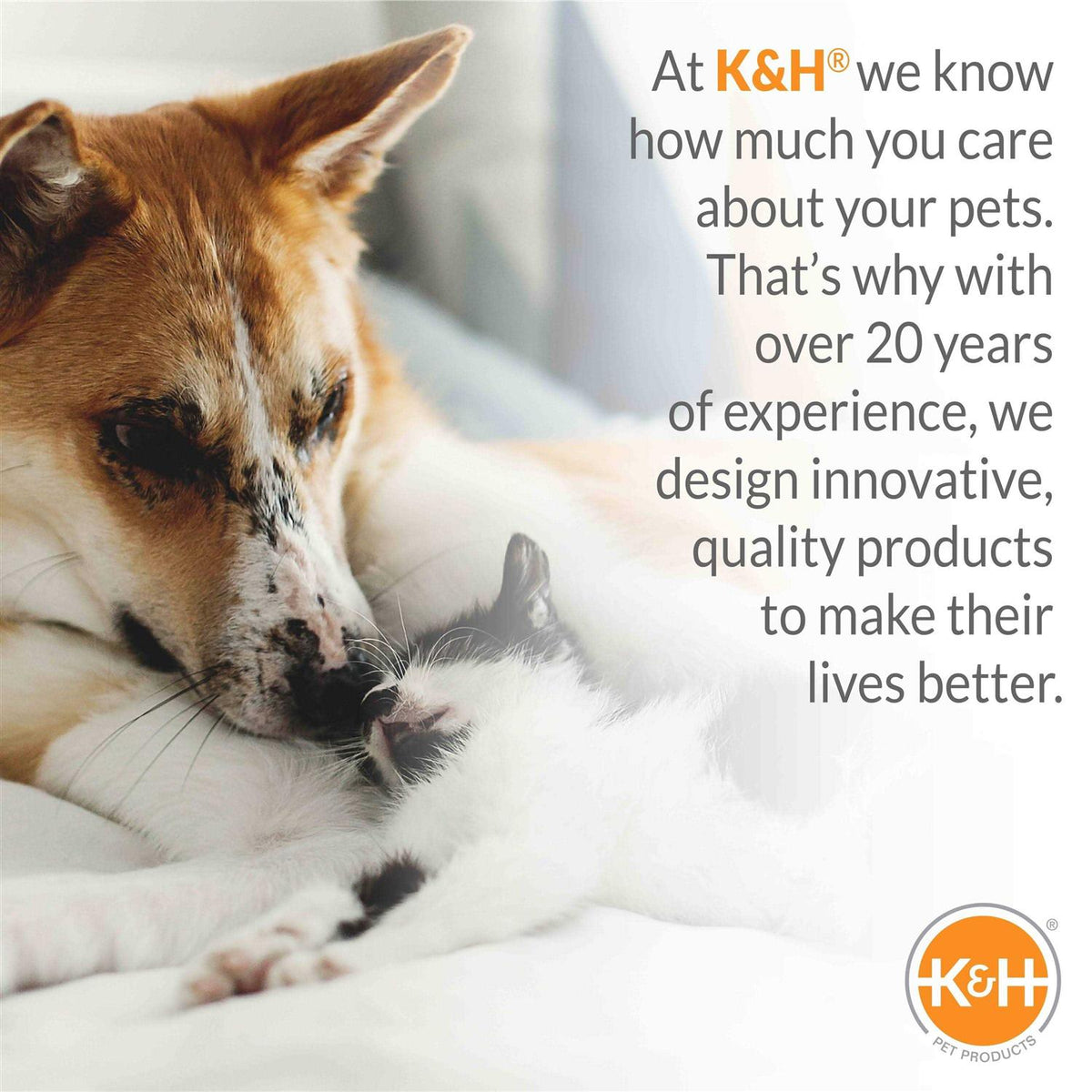 Elevated Pet Cot K69930