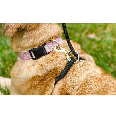 No Pull Dog Leash G2444