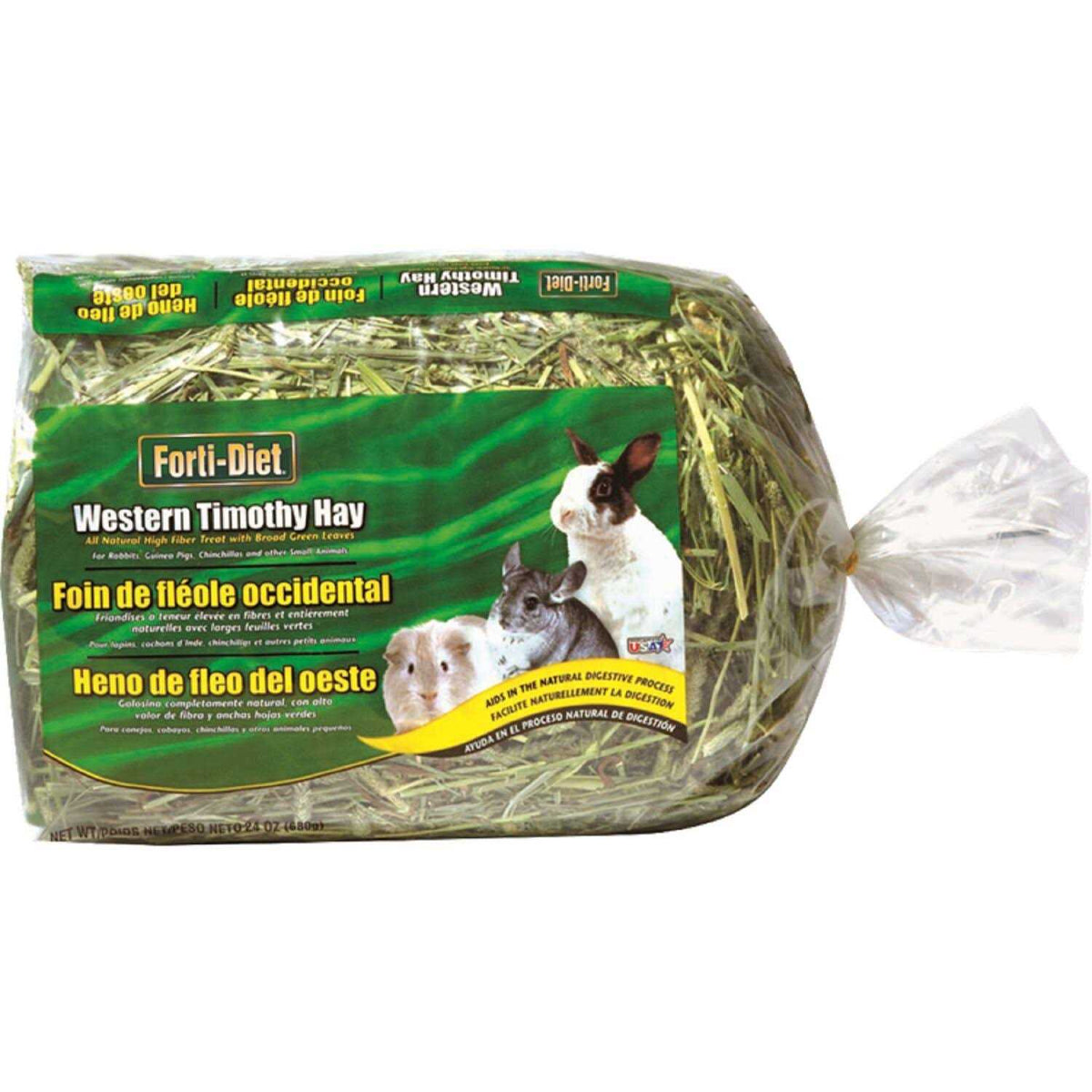 Timothy Hay O2930