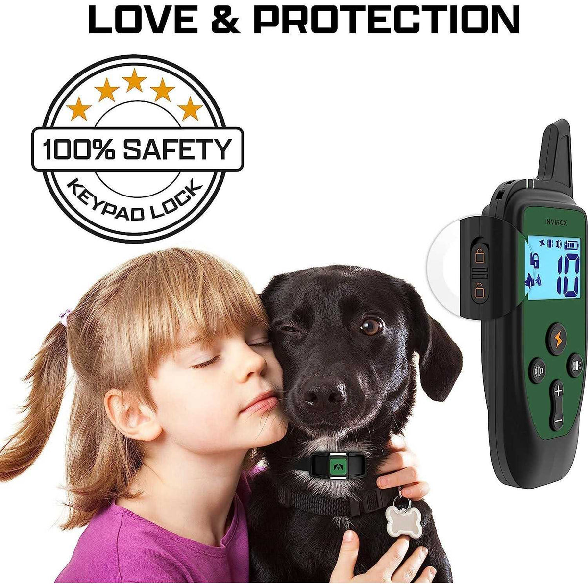 Dog Training Collar Z6997