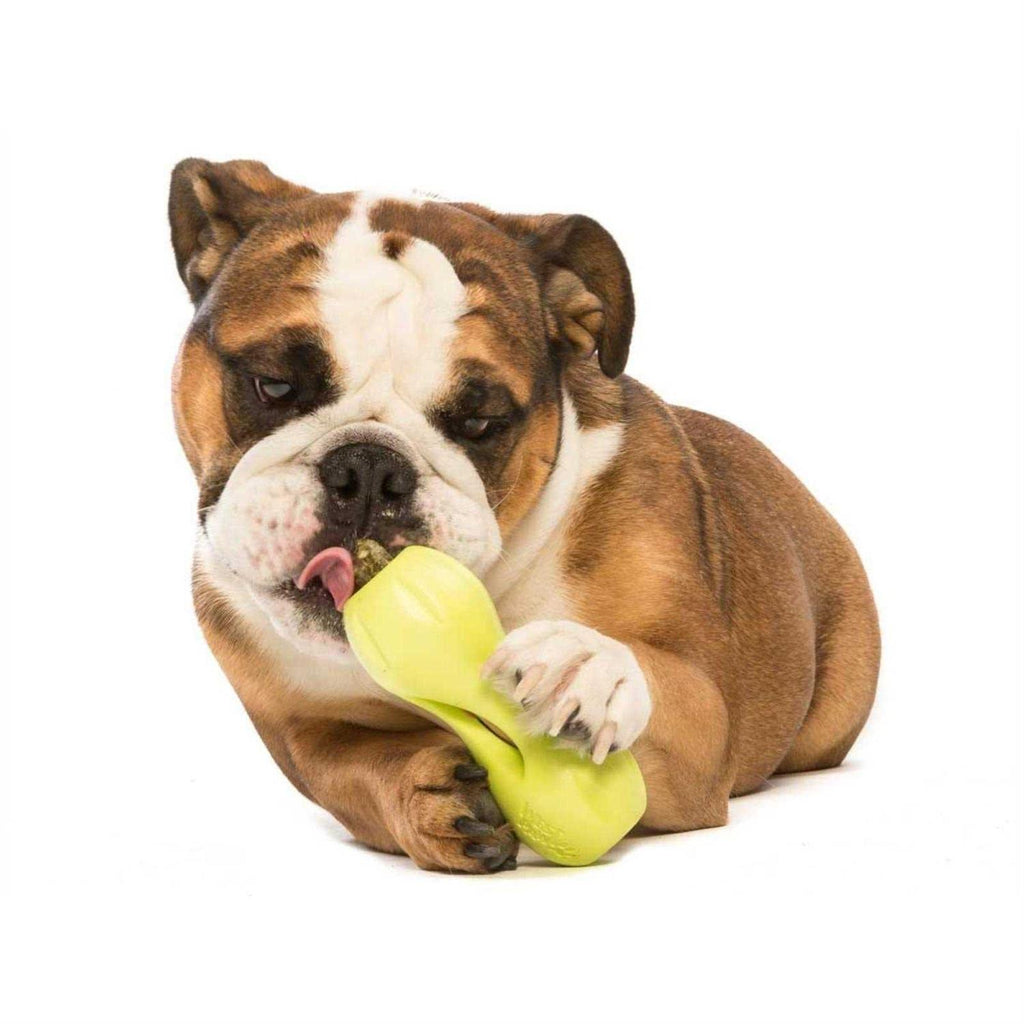 Dog Toy K362