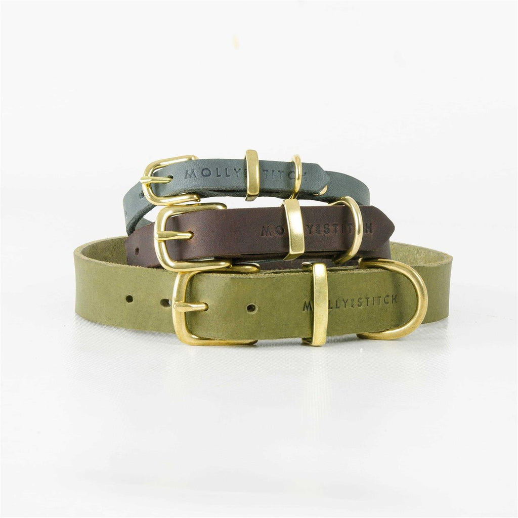 Leather Dog Collar R45841