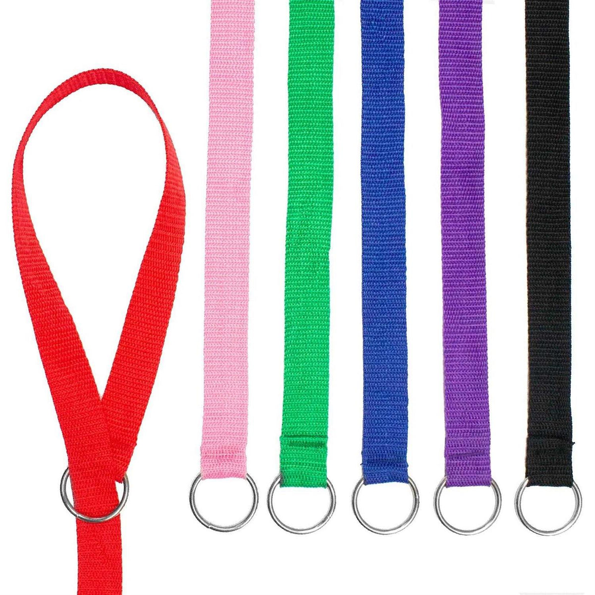 Dog Slip Lead Dog Leash K541058