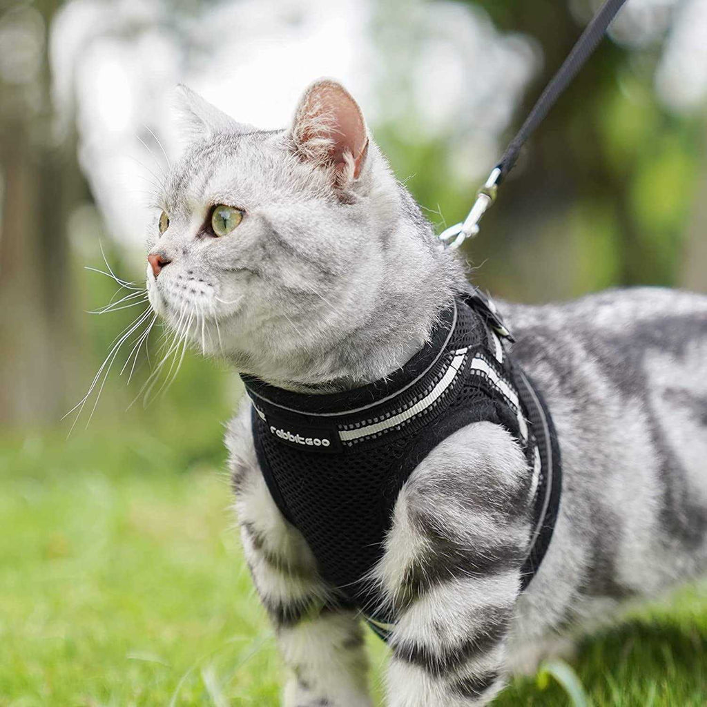 Cat Harness and Leash Adjustable Soft Vest D288