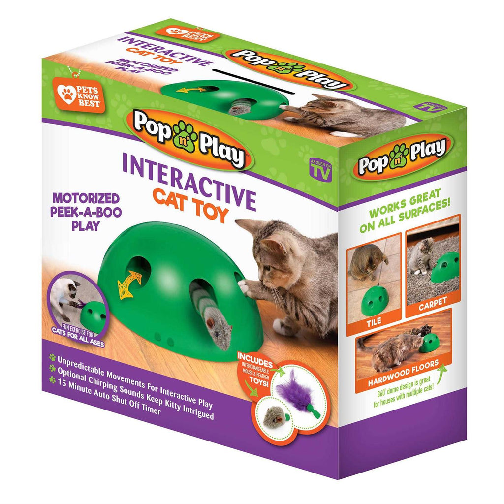 Cat Toy B1629
