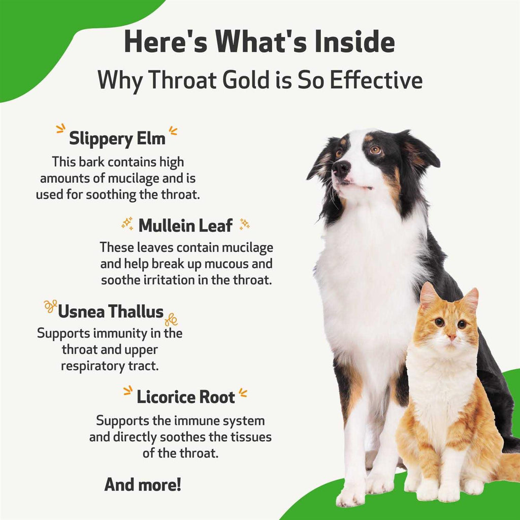 Throat Gold for Dogs L111