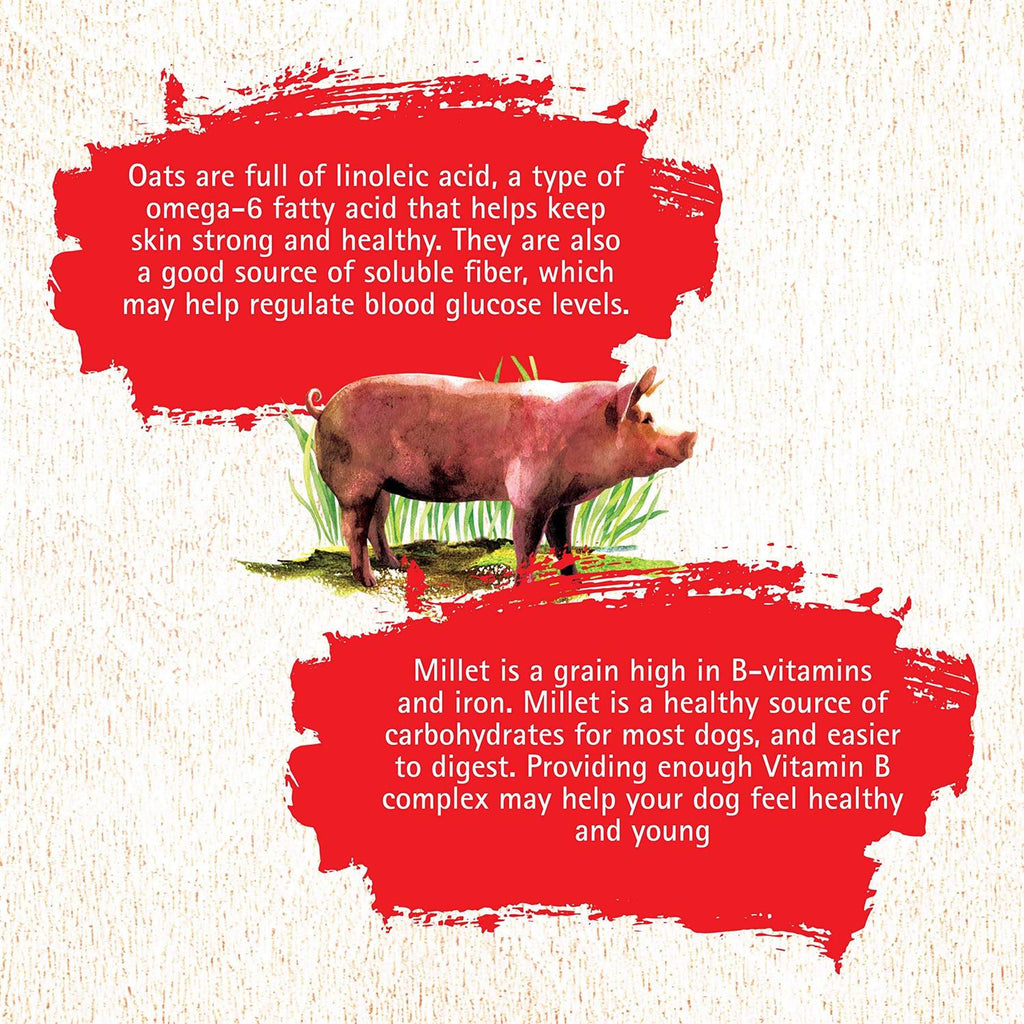 Pork Recipe Dog Food I8863