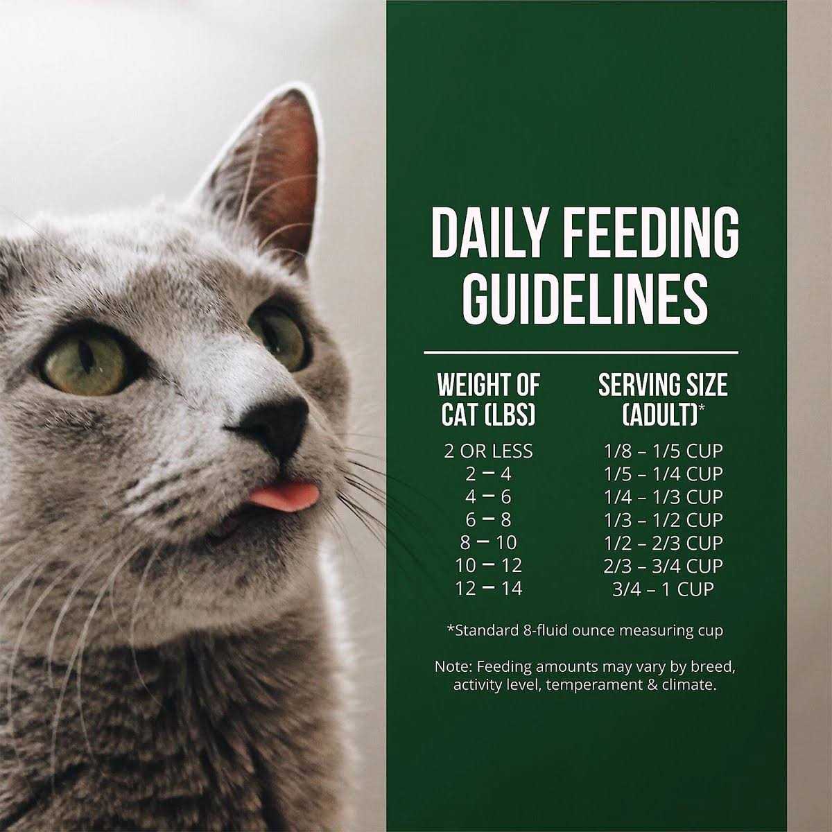 Salmon Chicken Dry Cat Food Y943