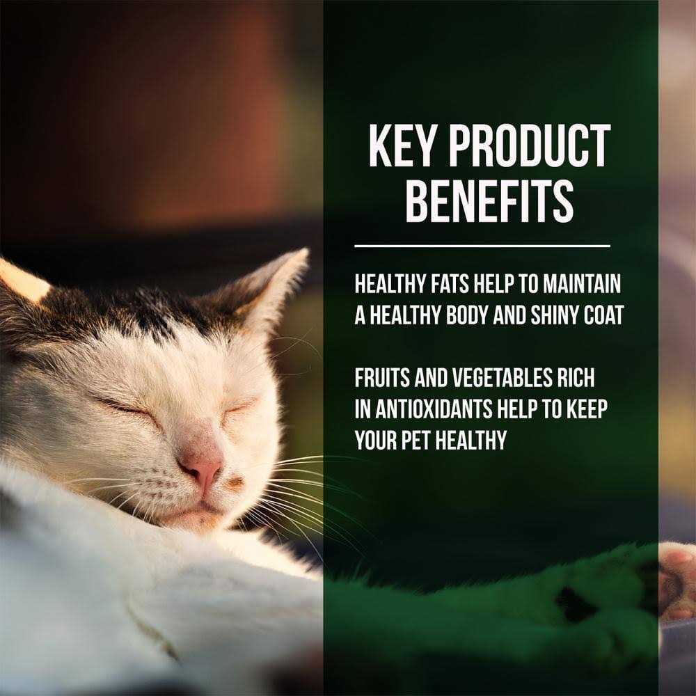 Salmon Chicken Dry Cat Food Y943