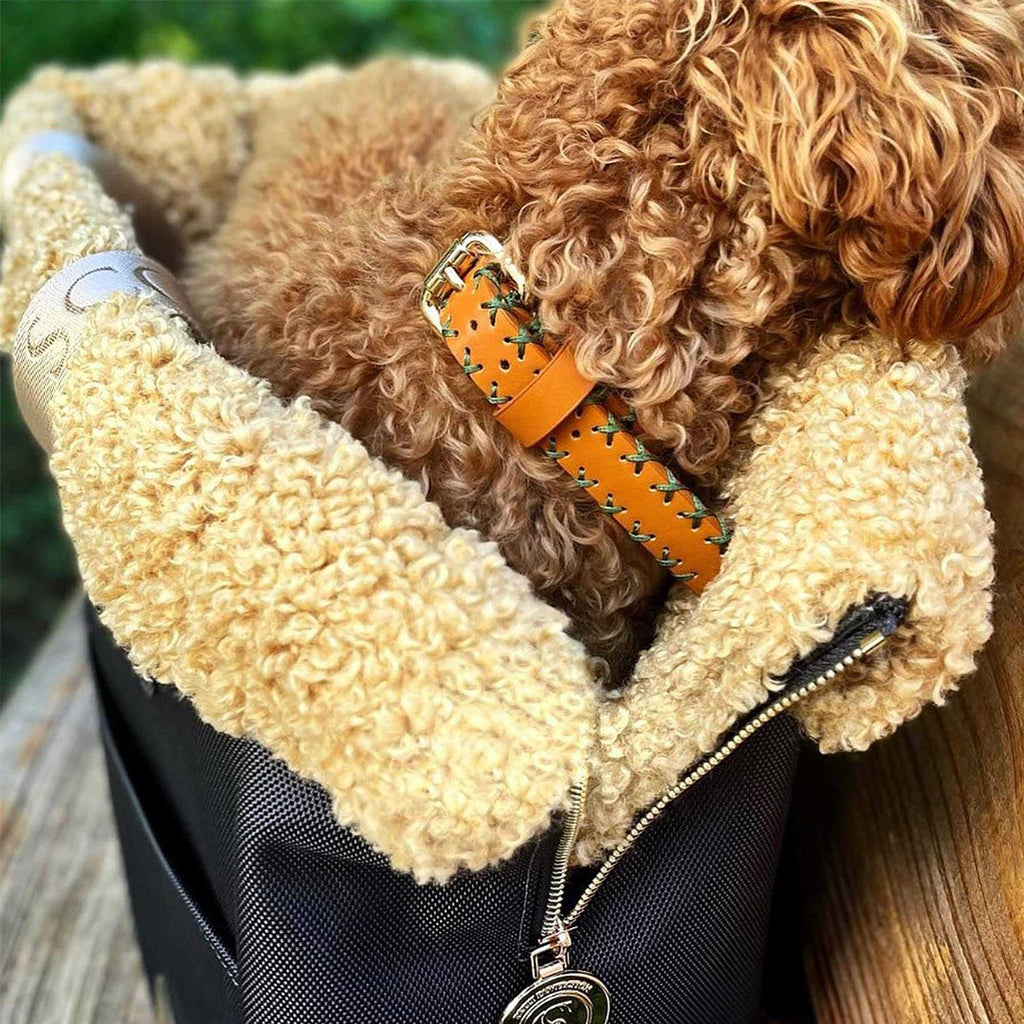 Handcrafted Standard Dog Collar Y662754