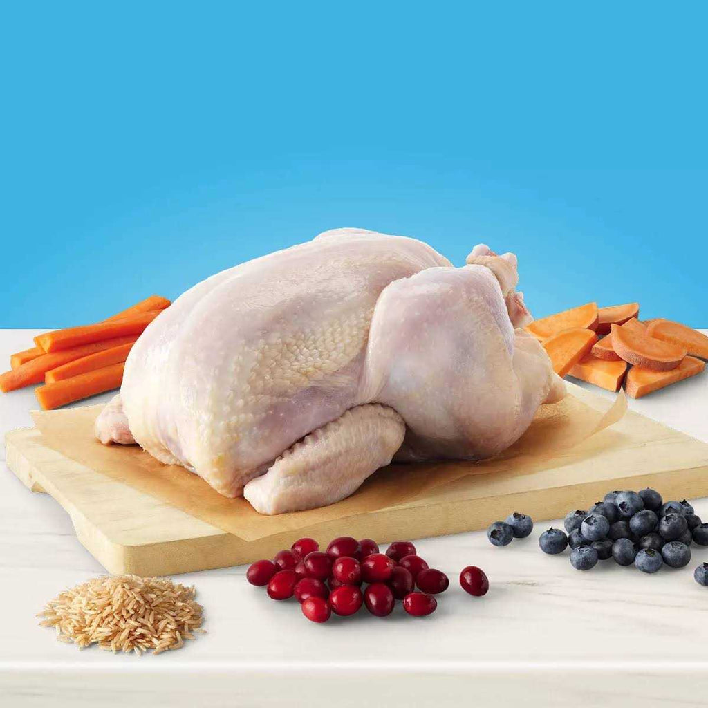 Natural Chicken Indoor Adult Dry Cat Food I216396