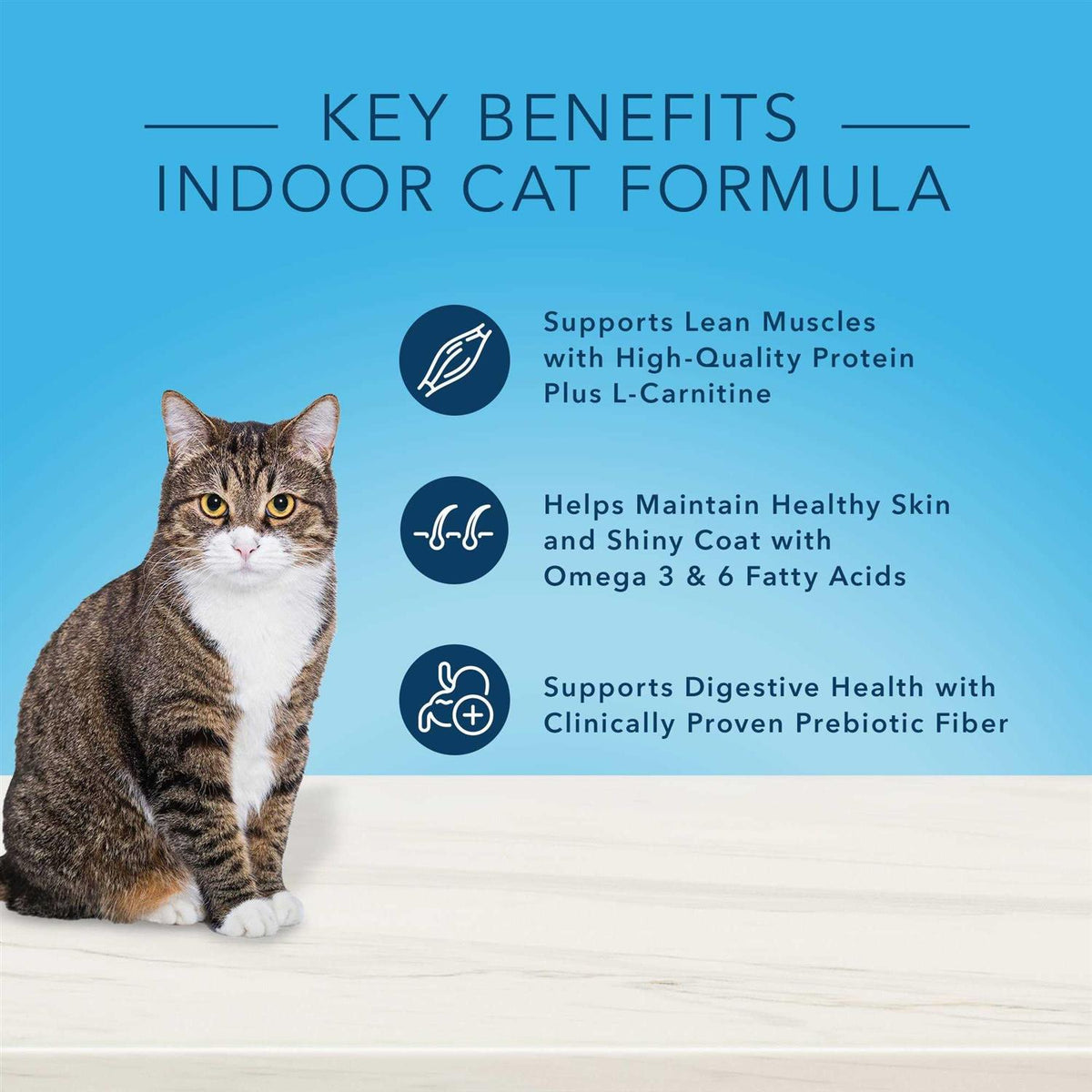 Natural Chicken Indoor Adult Dry Cat Food I216396
