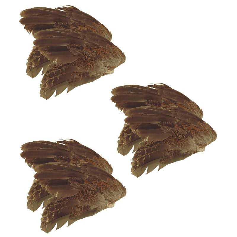6 Pk U882
