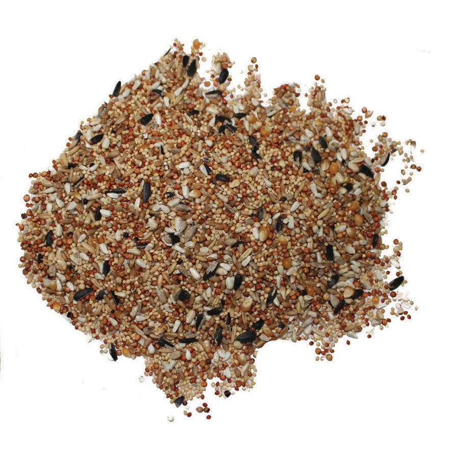 Dove & Quail Food B247181