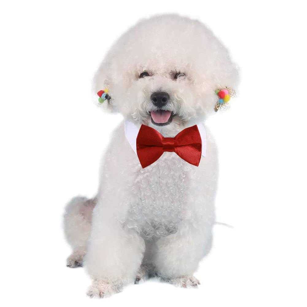 Adjustable Pet Bowtie Collar F973552