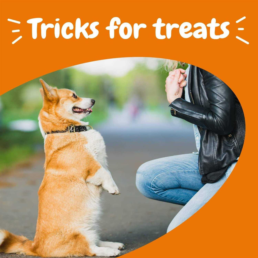 Training Treats for Dogs J383501