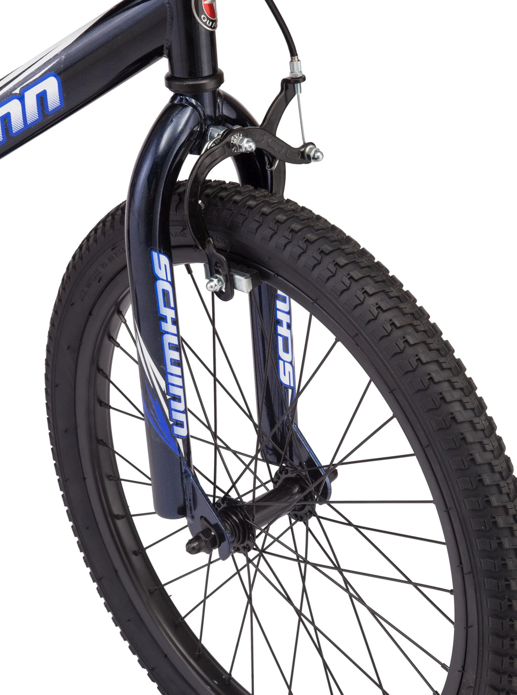 Kids Bicycle, 20 in. Wheels, Blue U4147