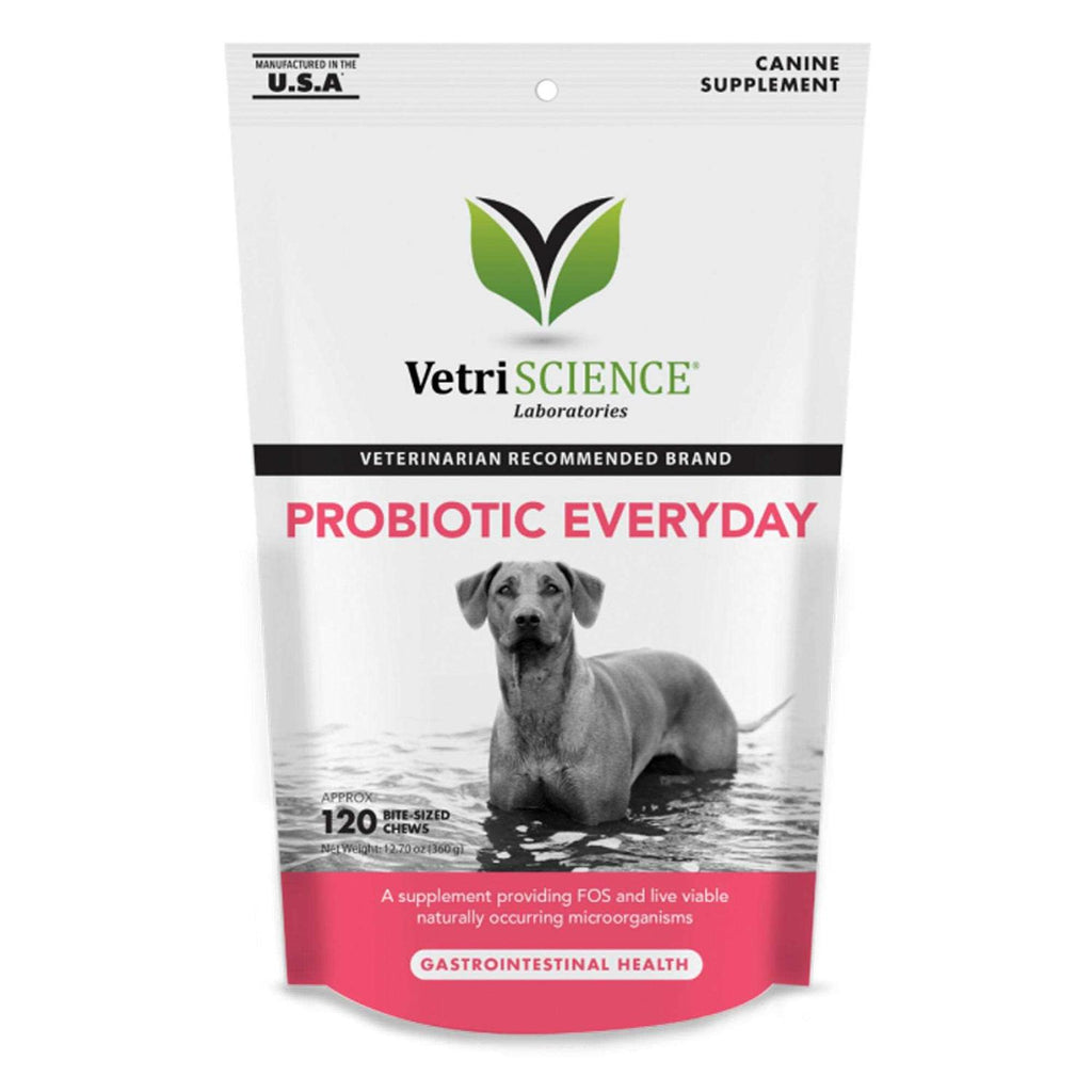 Probiotic Chews for Dogs B1701