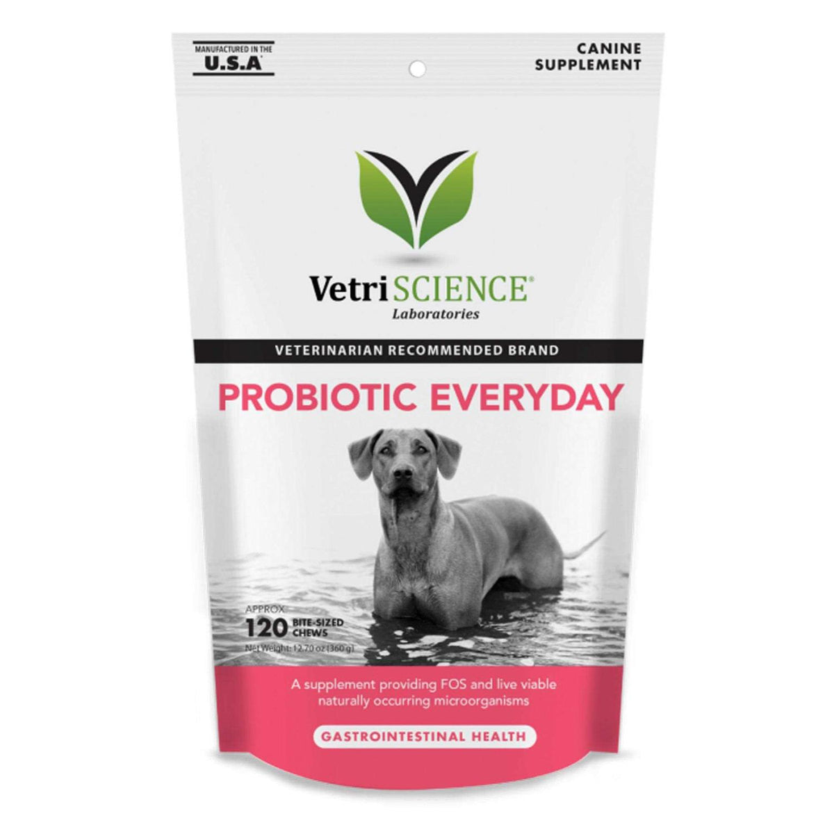 Probiotic Chews for Dogs B1701