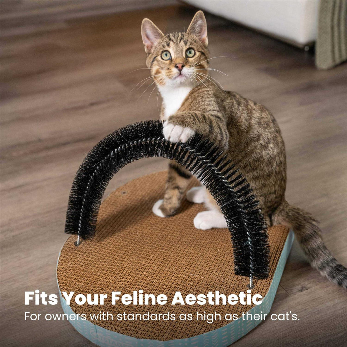 Cat Toy M214895