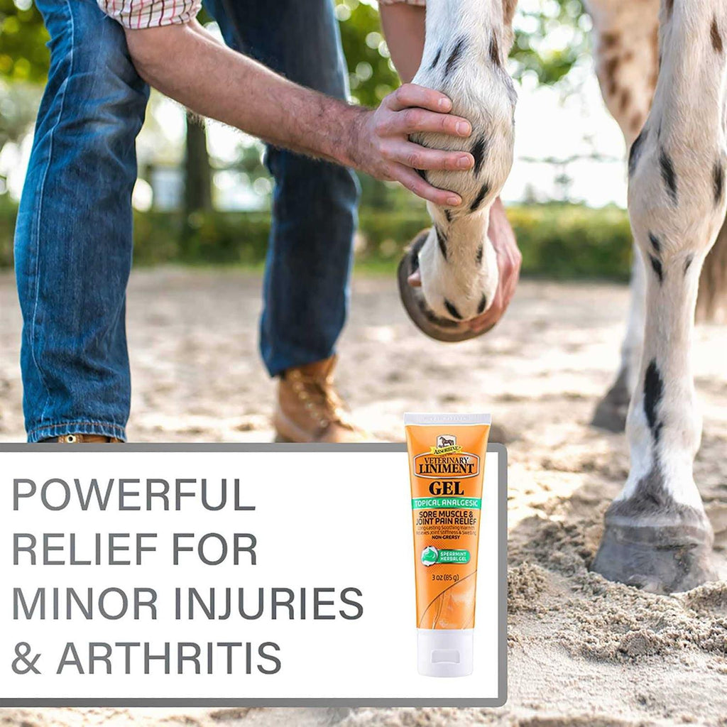 Veterinary Liniment Gel Topical Menthol Analgesic Rub O1381