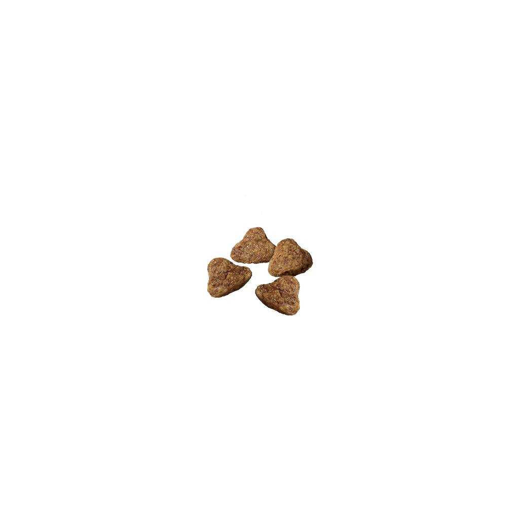 Dry Dog Food K916