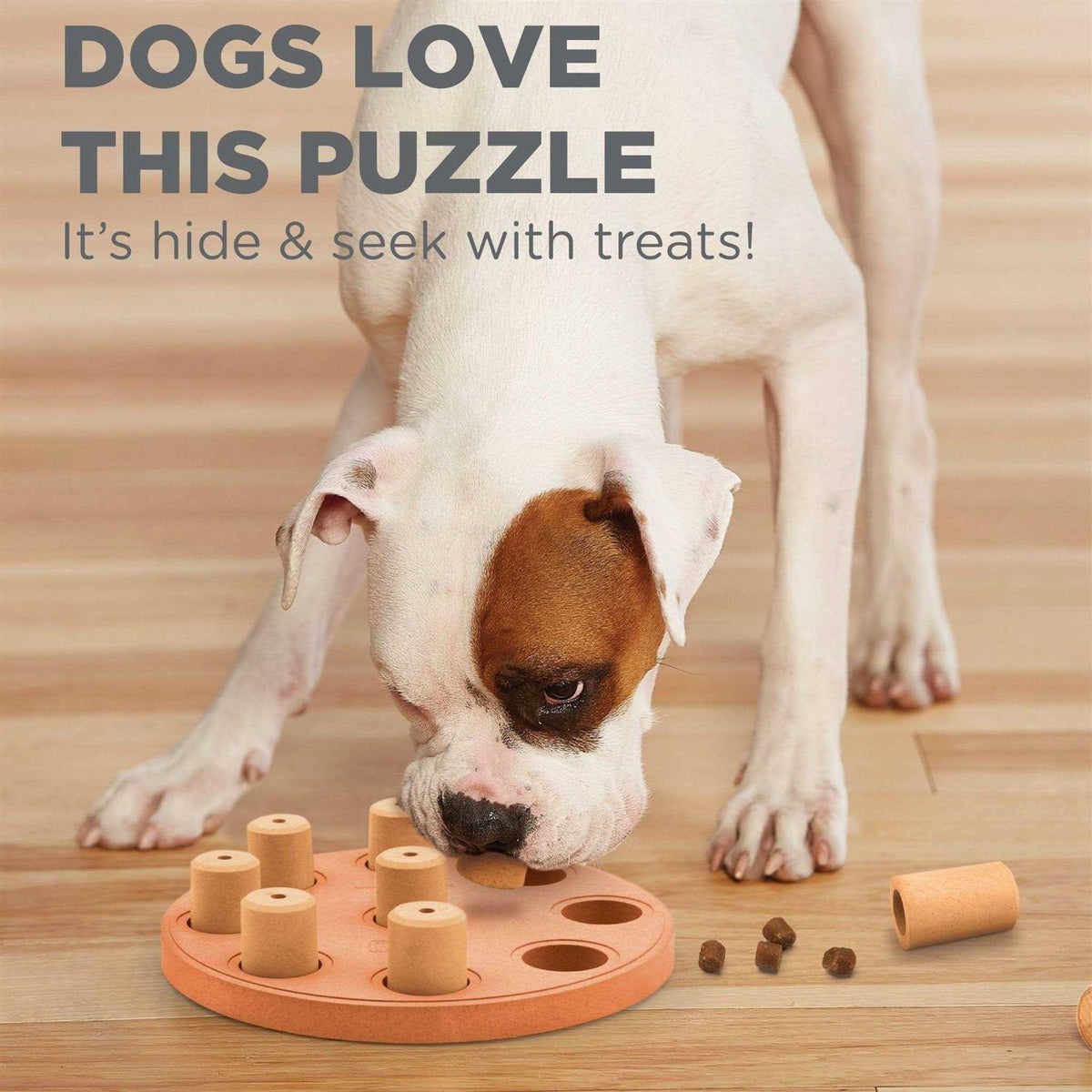 Dog Puzzle S822686