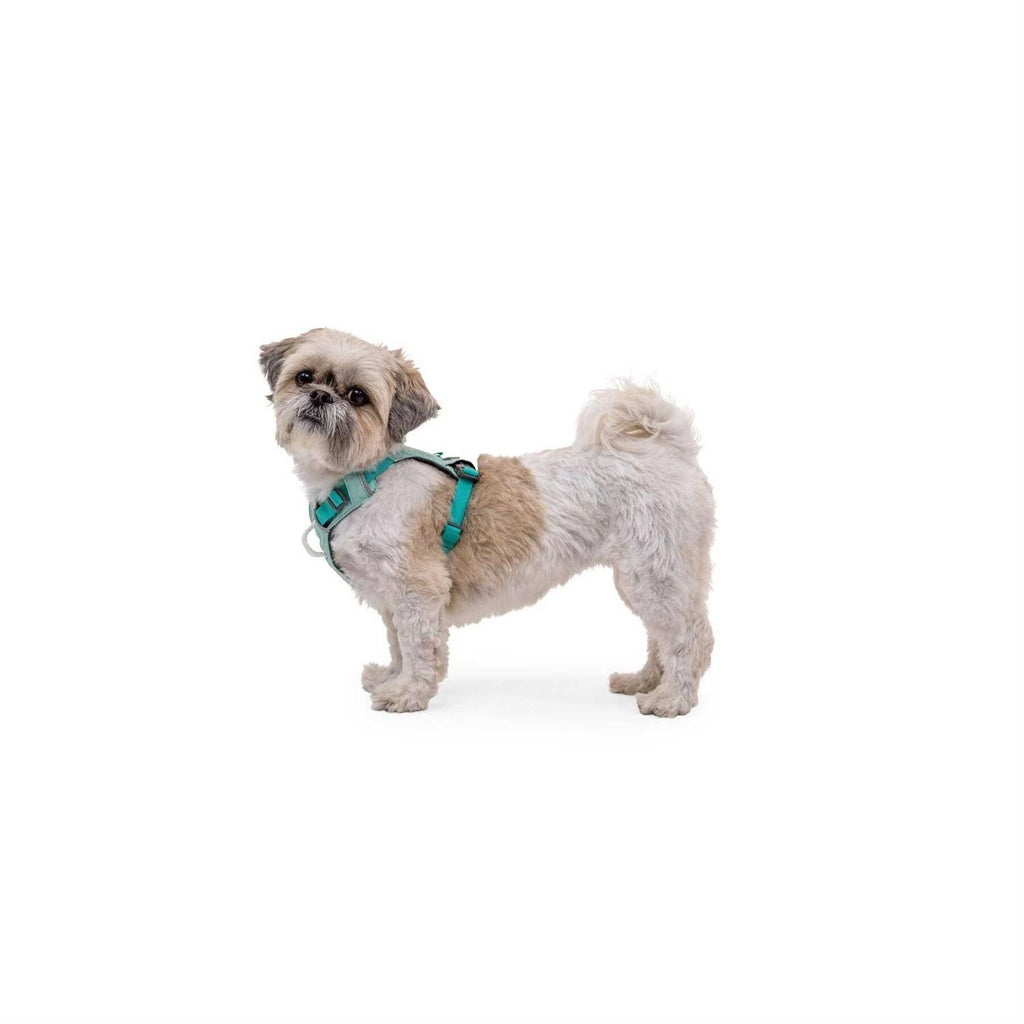 Hi & Light Dog Harness L235940