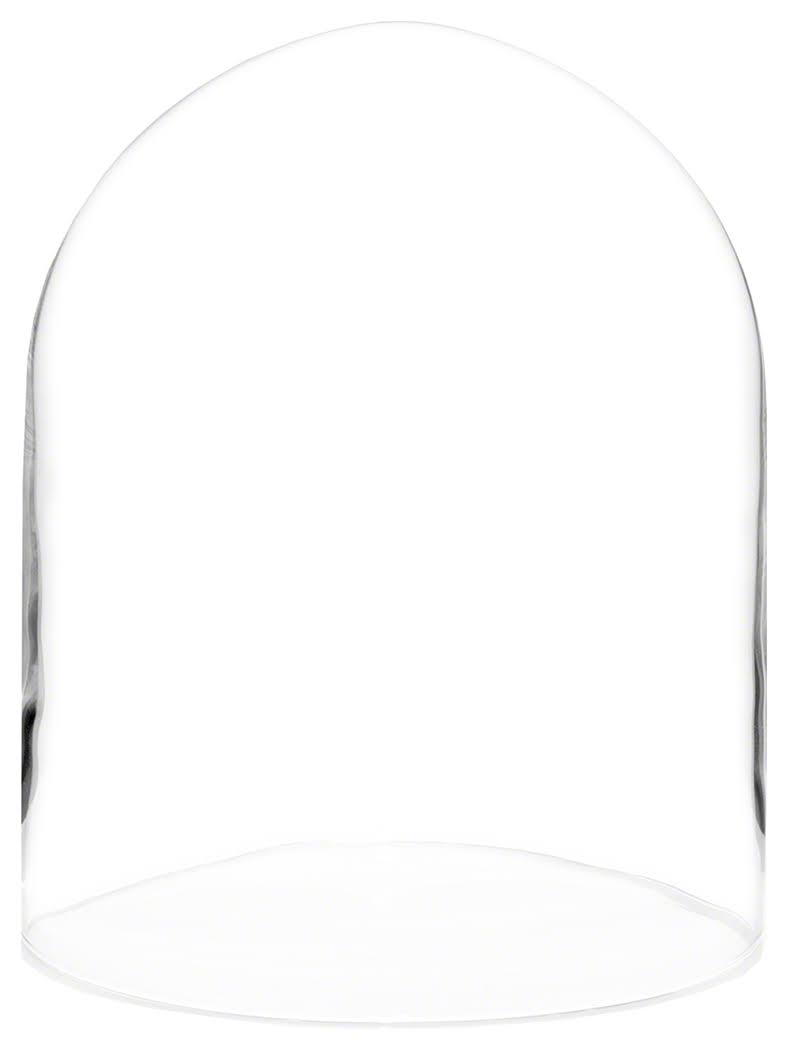 Glass Display Dome Cloche D28912