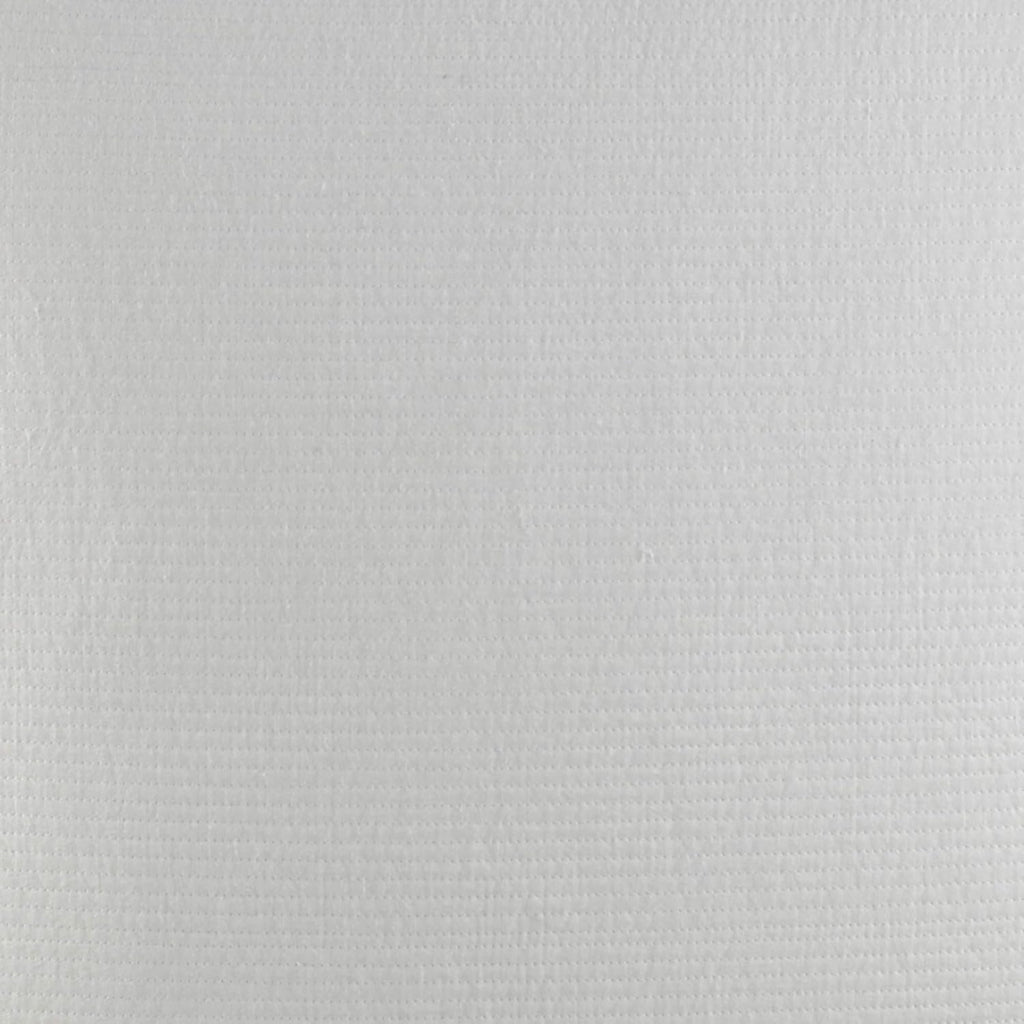 White Euro Sham P310922