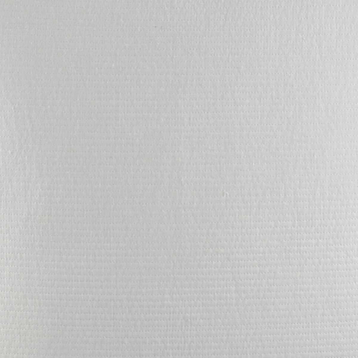 White Euro Sham P310922