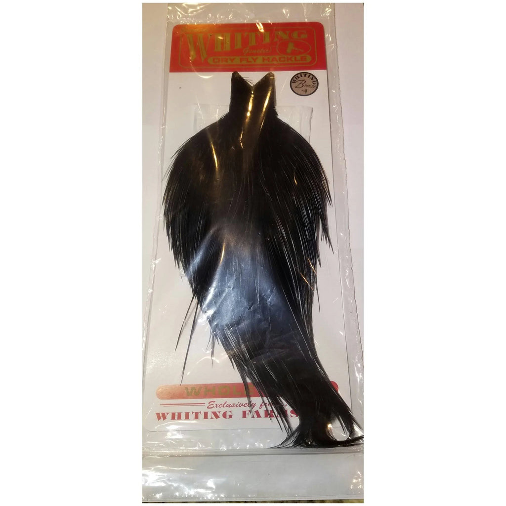 Bronze Cape Z774842