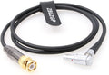 BNC to 5 Pin Timecode Cable F195804