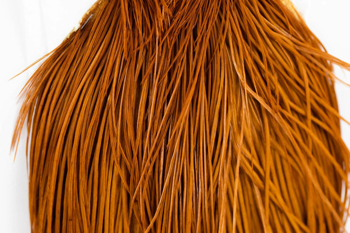 Bronze Cape Z774842