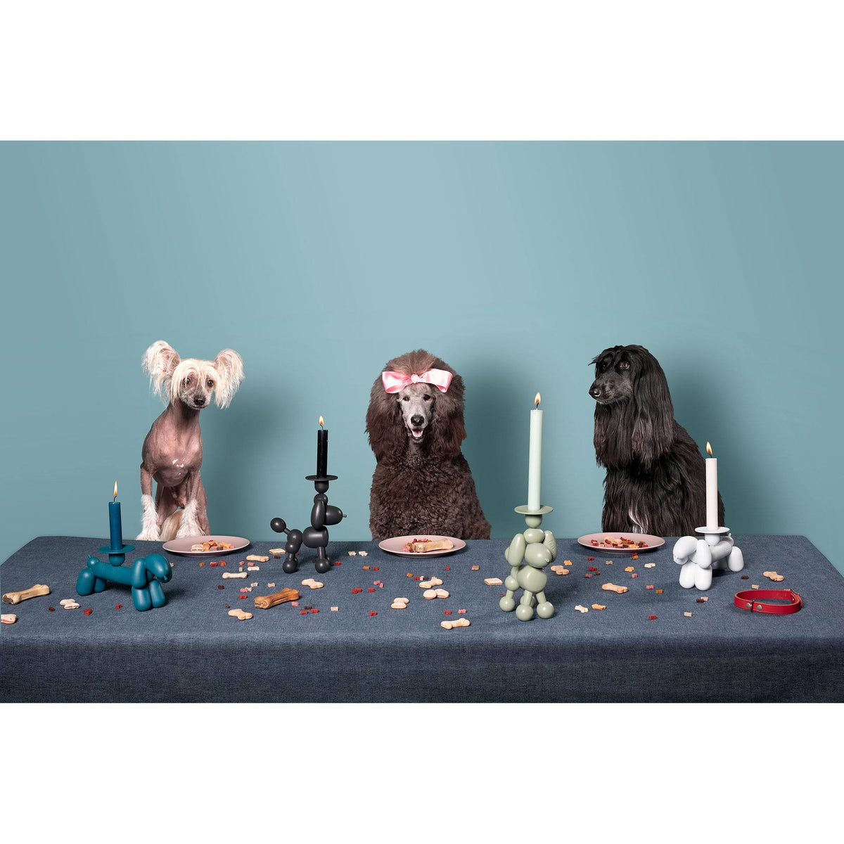 Can-Dolly Candle Holder in Anthracite U913208