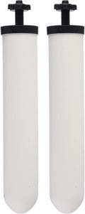 Ceramic Filter Cartridge 2 Pack X620