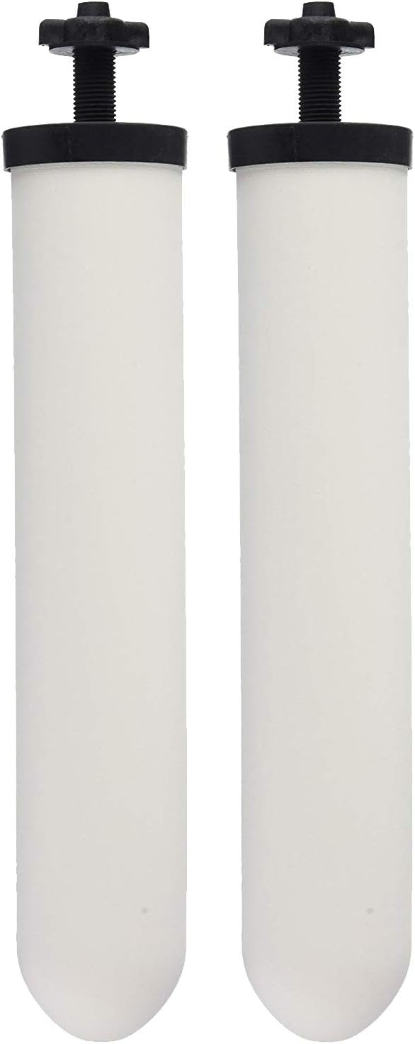 Ceramic Filter Cartridge 2 Pack X620