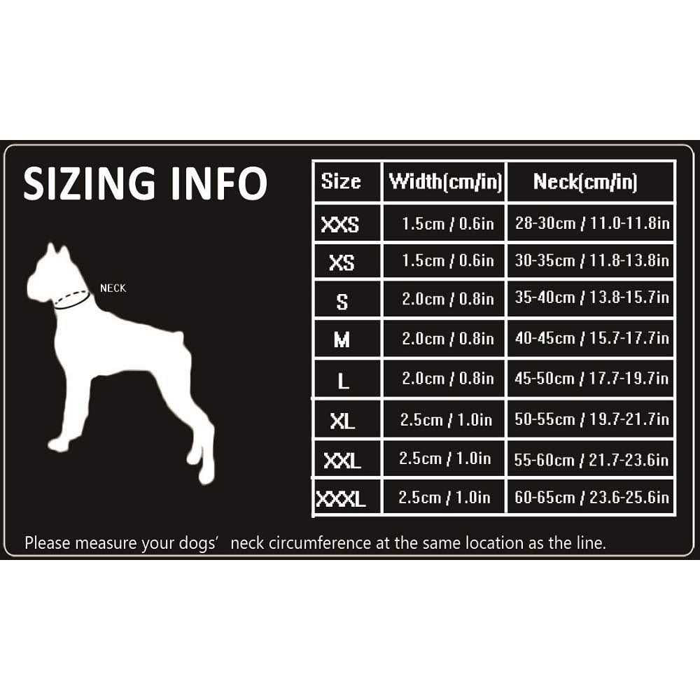 Dog Collar W5641