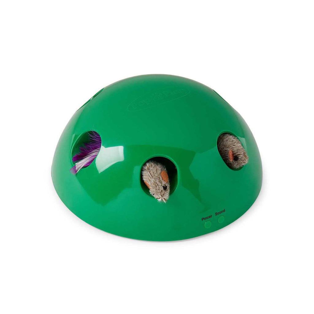 Cat Toy B1629