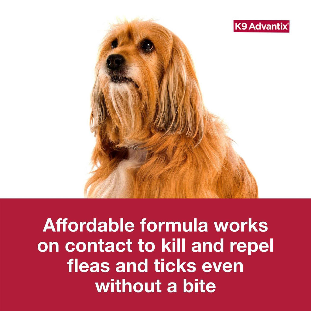 Flea Tick & Mosquito Prevention for Large Dogs I149994